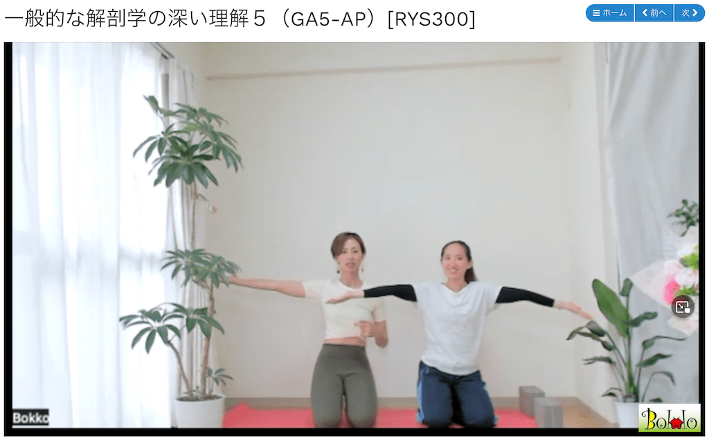 ぼっこのYACEPワークショップAP区分の様子