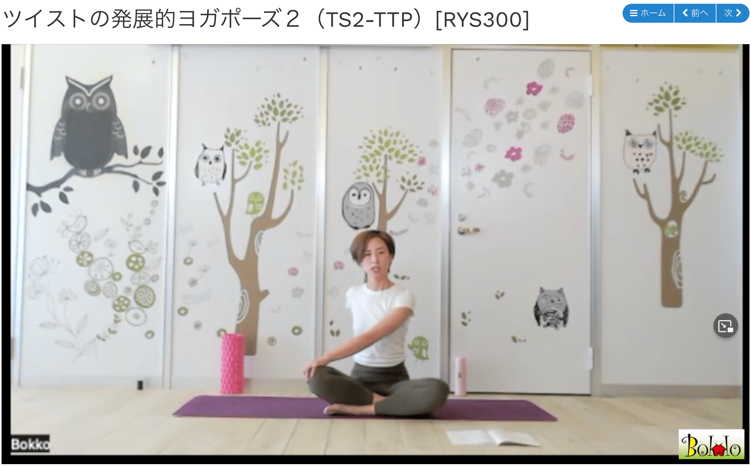 ぼっこのYACEPワークショップTTP区分の様子